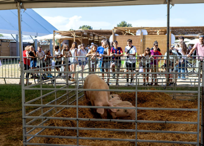 2025_05_30-3_FIRA DE L'ASCENSIO_TONI TORRILLAS_0250