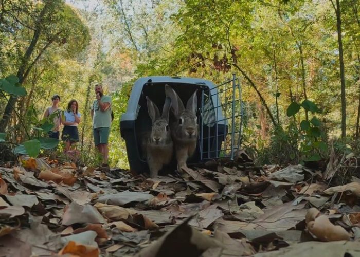 associacio-gestio-natural