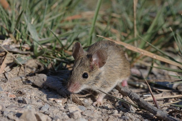 ????????????????????????????????????