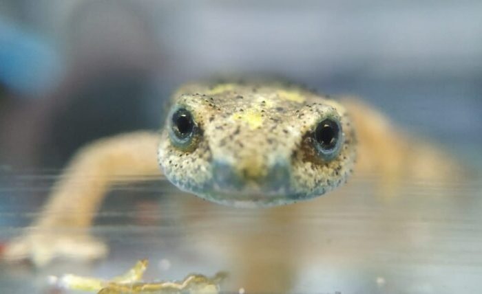 photo_2023-05-22_11-45-55-760x428